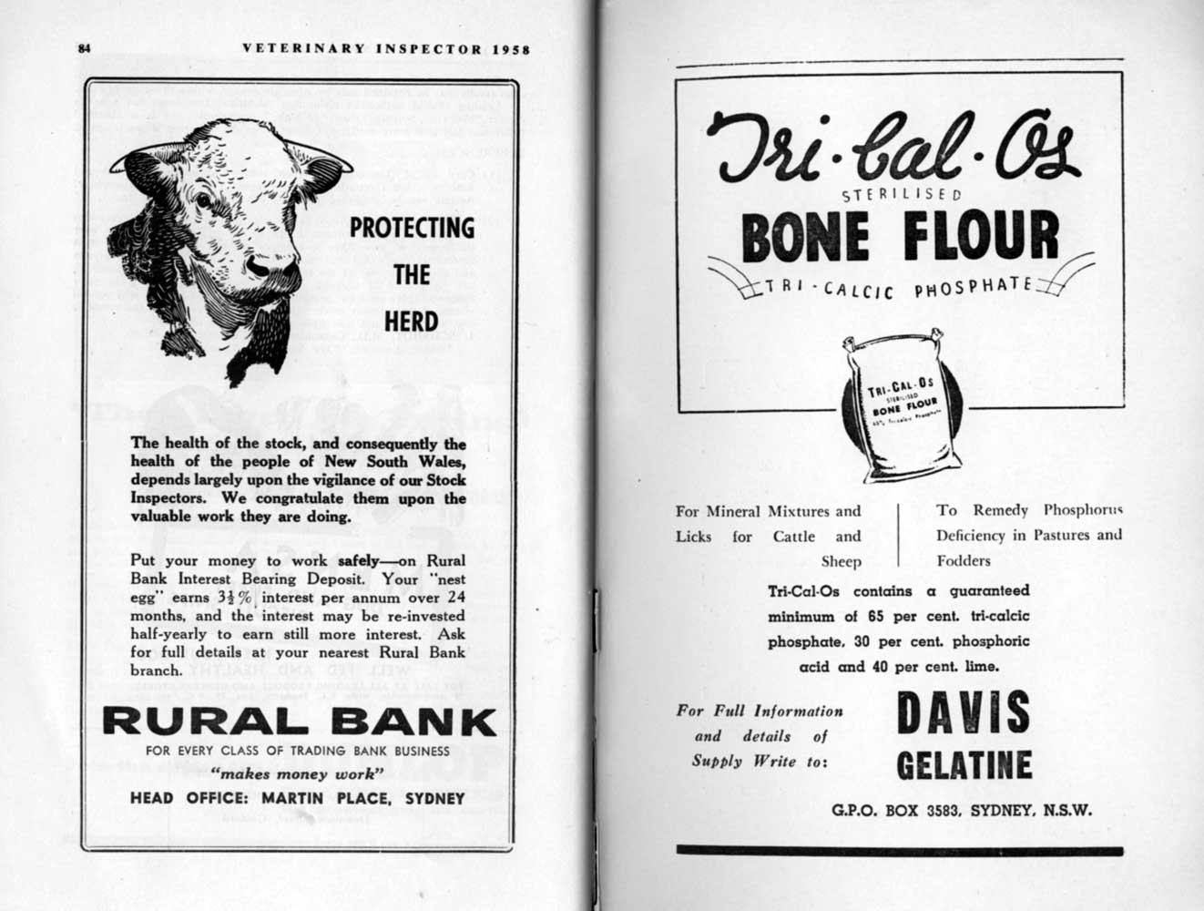1958 Page 84